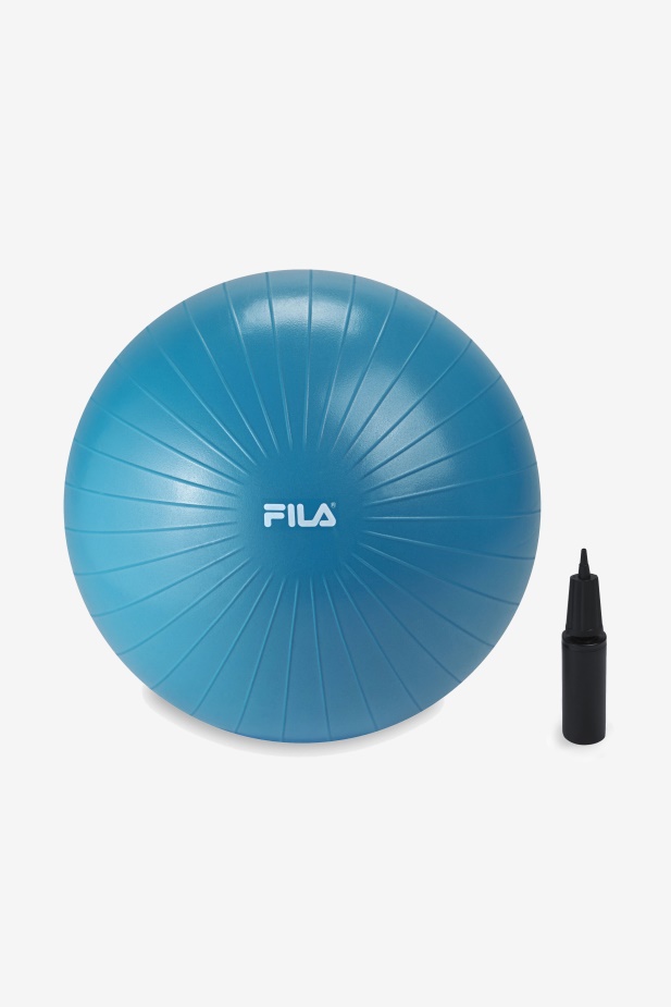 Modrý Fila Stabilizační Cvičební Míč S Pumpou 55cm