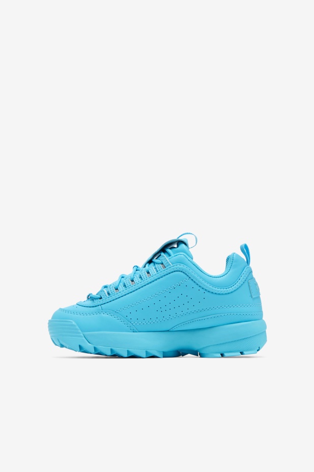Velký Dětský Disruptor 2 Prémiová Fila Bluefish