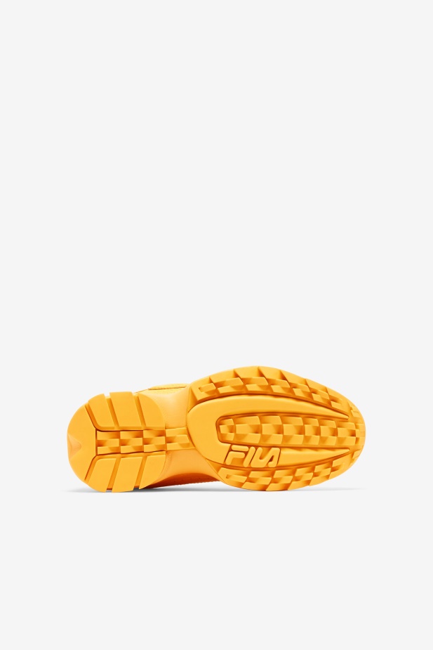 Fila Orange Velký Dětský Disruptor 2 Premium